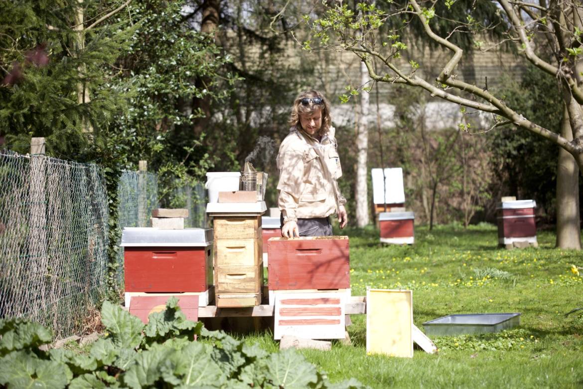 2017-04-Bienen-Horn-039.jpg